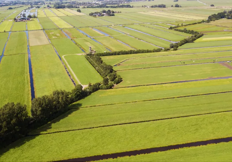 Groene erven in Utrecht dankzij 16.000 bomen en struiken: resultaten 2023-2024