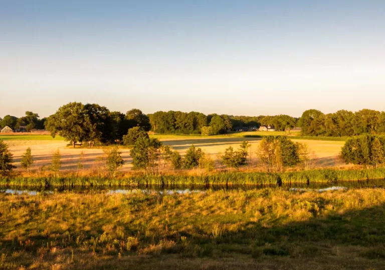 Landscape elements in Overijssel