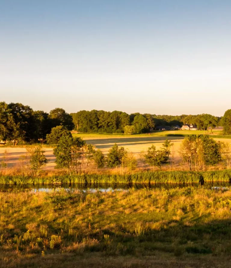 Landscape elements in Overijssel | Greening the countryside