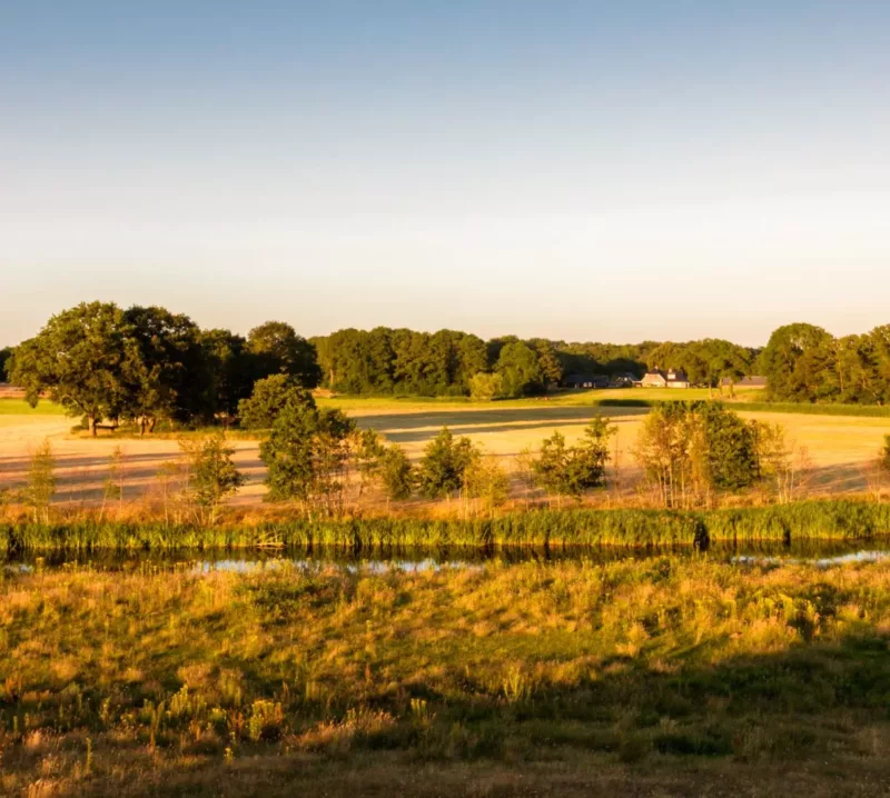 Landscape elements in Overijssel | Greening the countryside