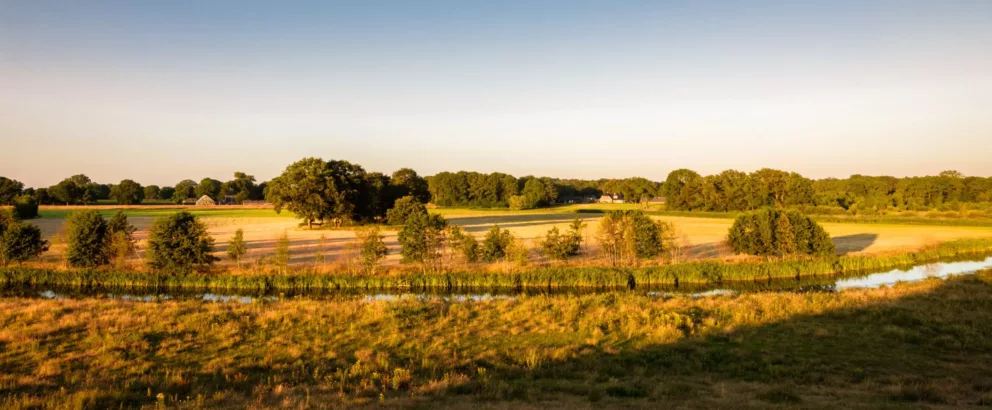 Landschapselementen Overijssel | Een groen en duurzaam platteland