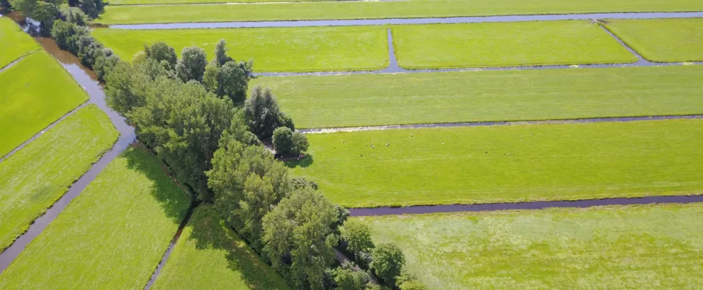 Groene Erven Utrecht | Vergroening van het landelijk gebied in de provincie Utrecht