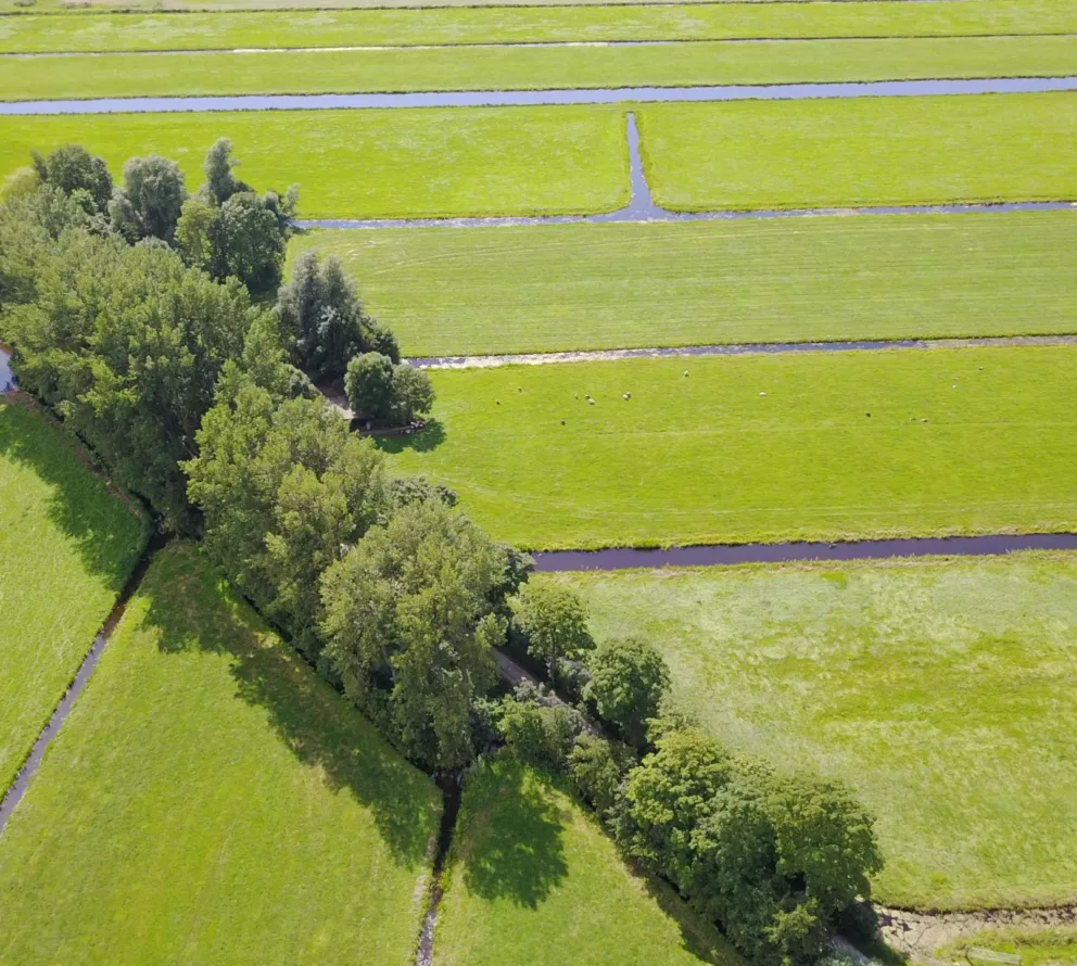 Groene Erven Utrecht | Vergroening van het landelijk gebied in de provincie Utrecht