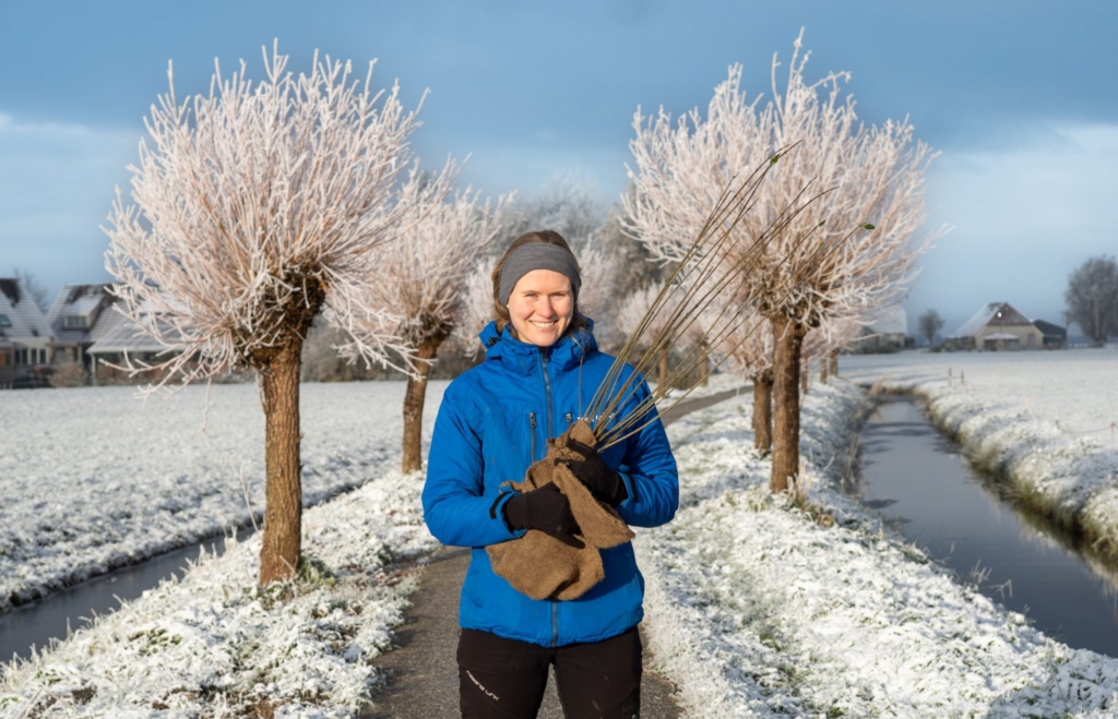 Geef een boom voor kerst