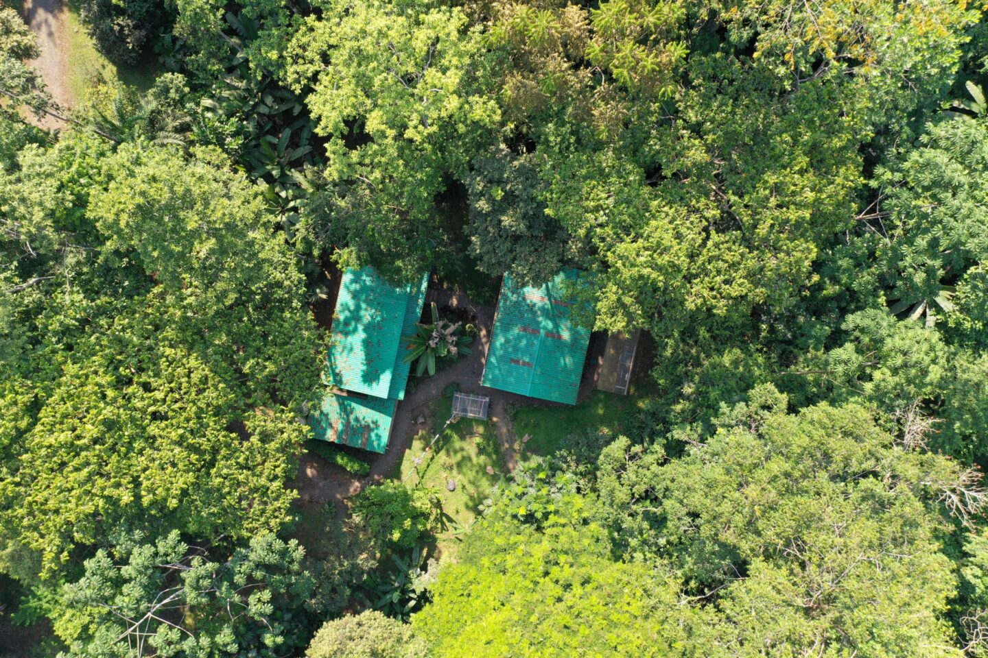 adopteer-regenwoud-costa-rica-reservaat