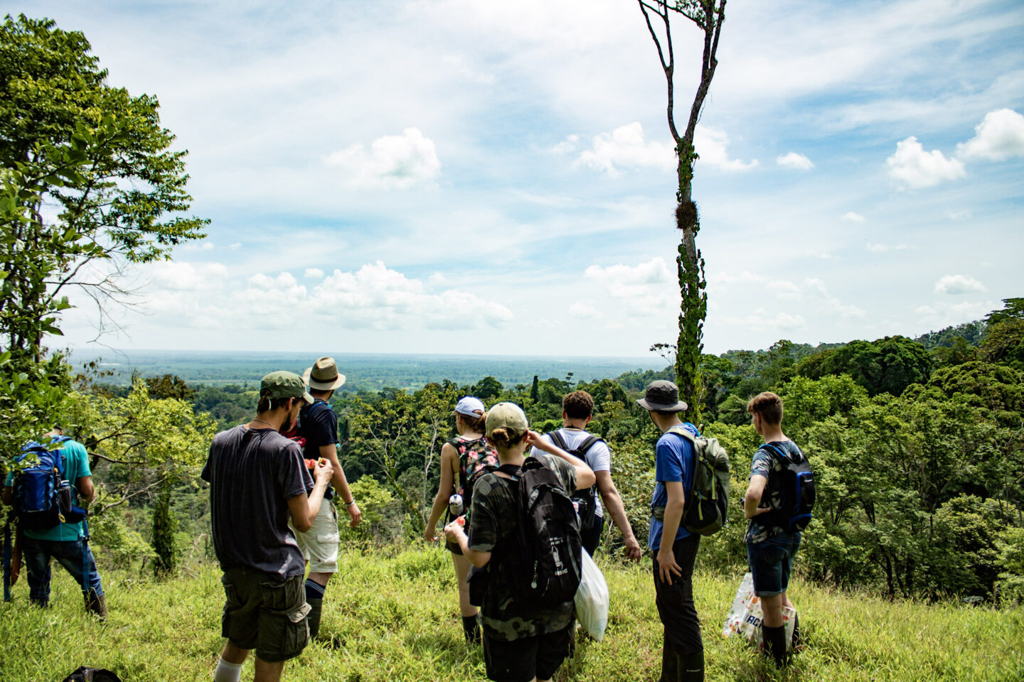adopteer-regenwoud-costa-rica
