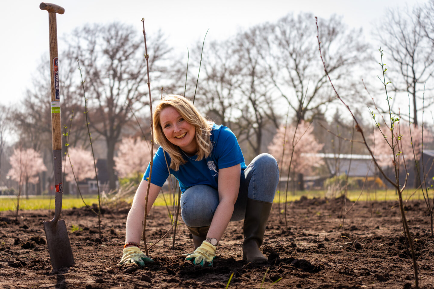bomen-planten-trees-for-all