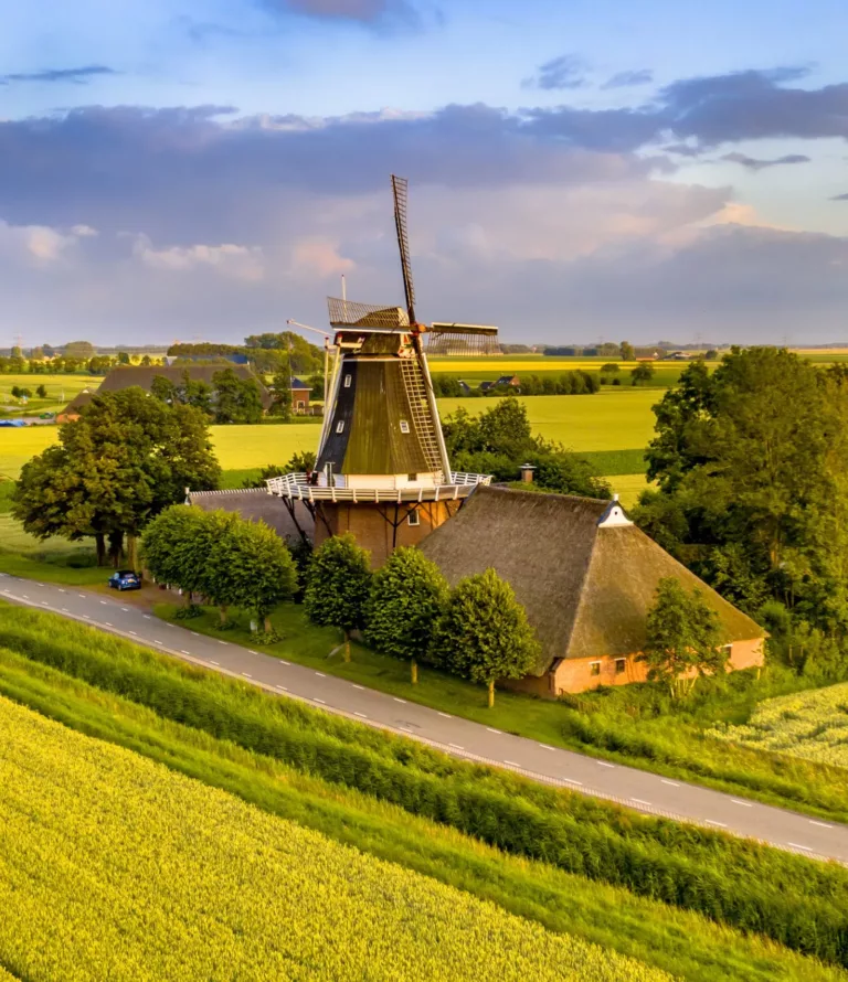 Landscape elements Groningen | Farmyard-greening in Groningen