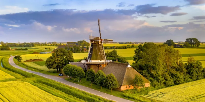 Landschapselementen Groningen | Vergroening van erven in Groningen