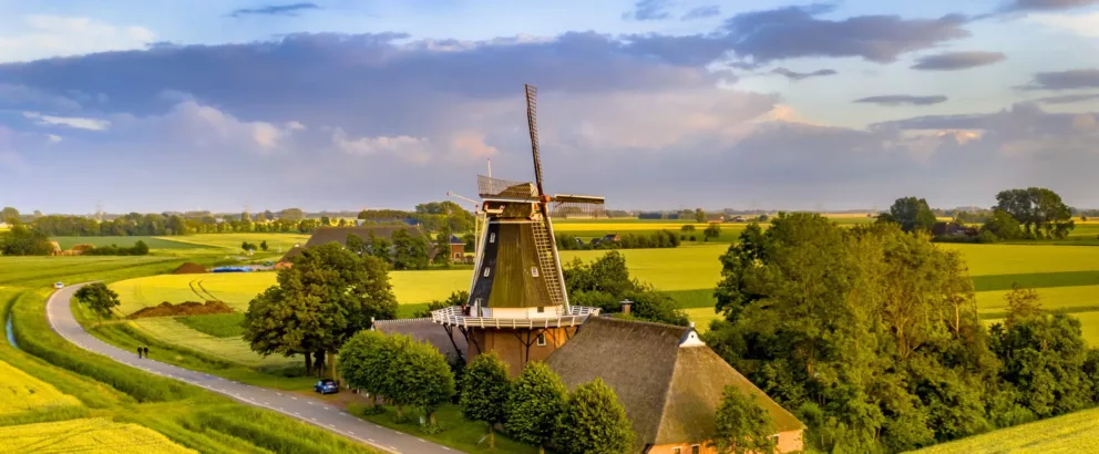 Landschapselementen Groningen | Vergroening van erven in Groningen