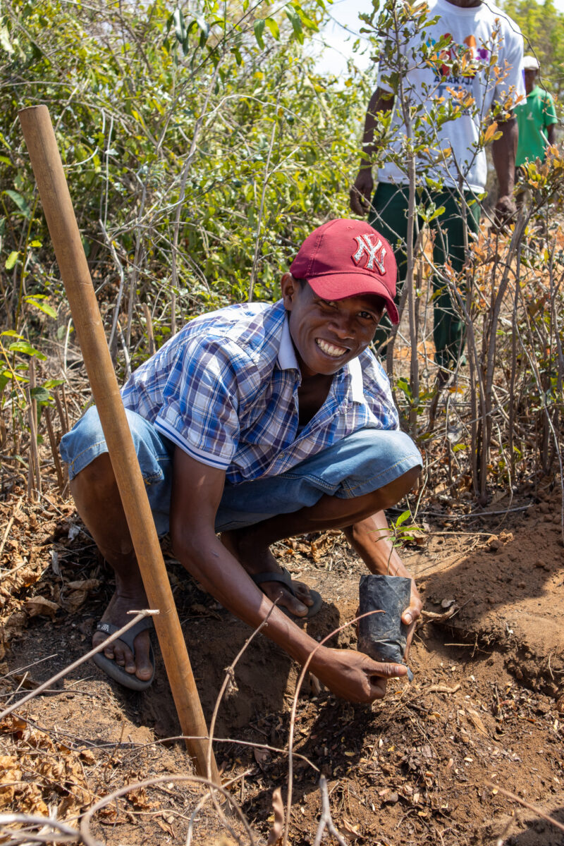 Planting trees in Madagascar