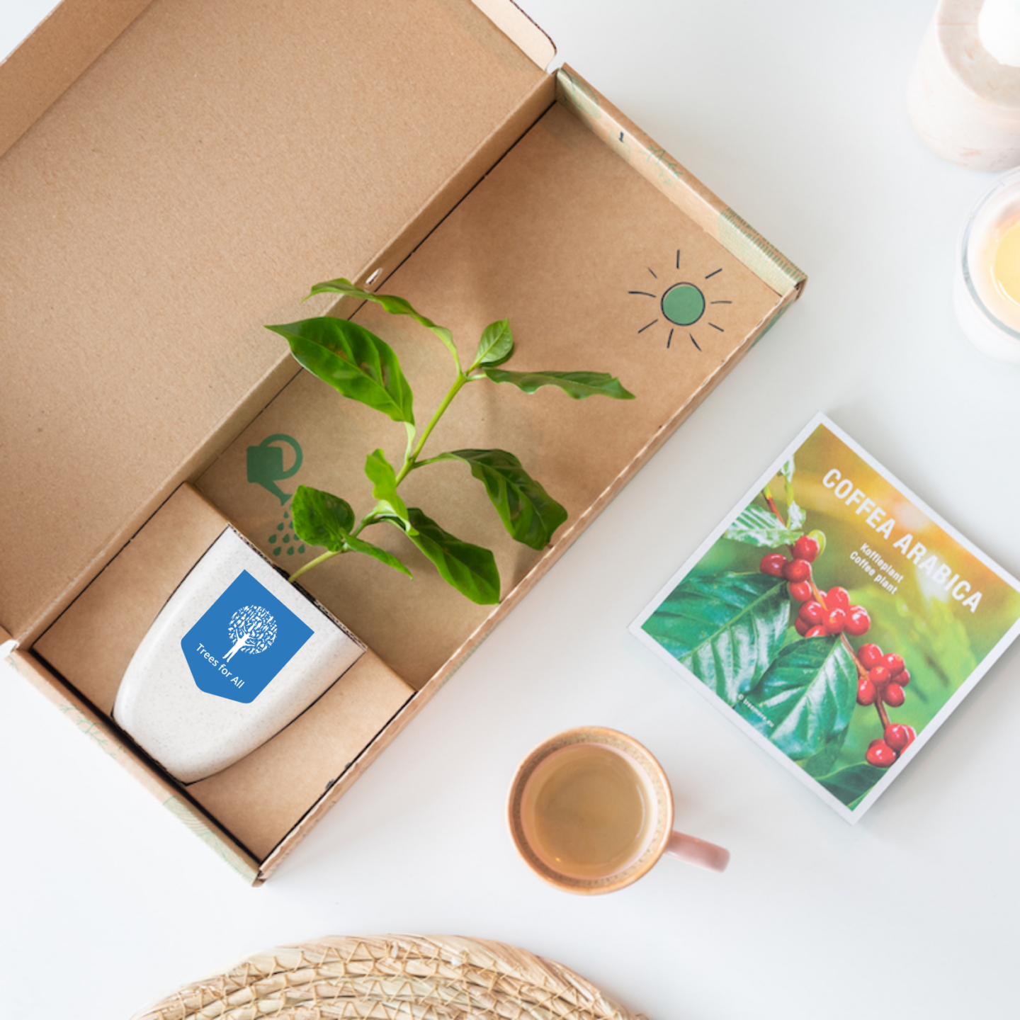 brievenbus-boompje-koffie-klein