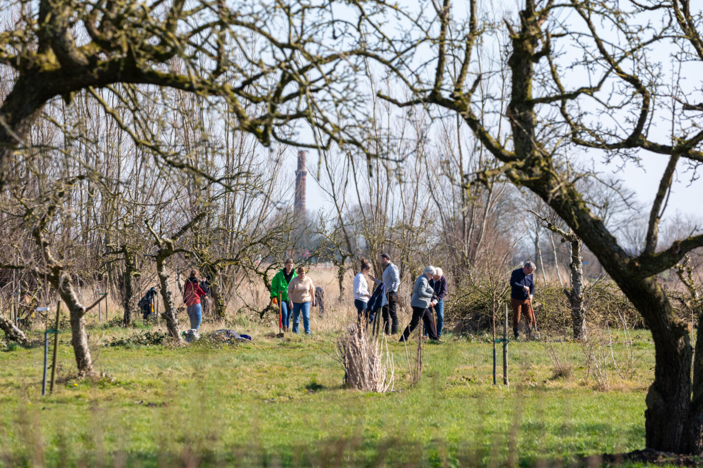 boomplantdag-landschapselementen