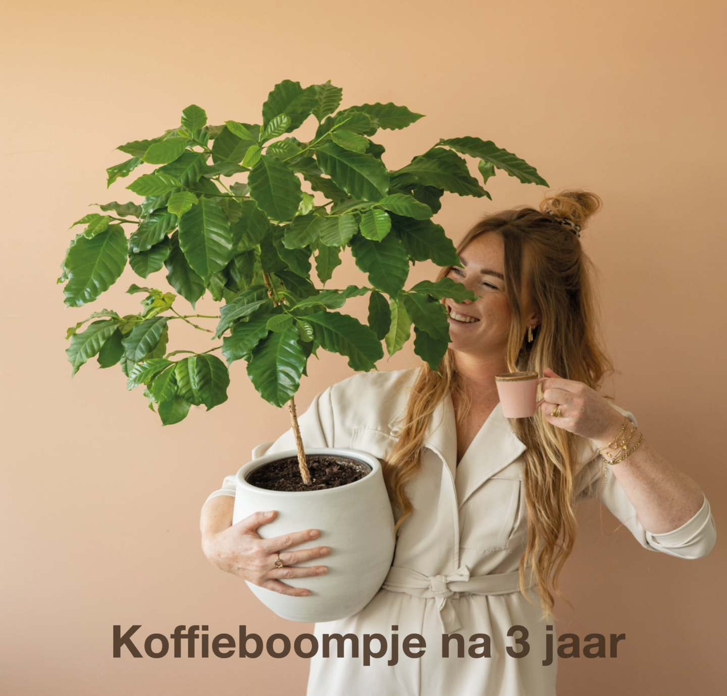 brievenbus-boompje-koffie