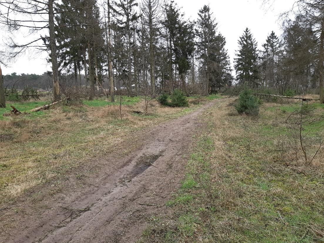 voormalig-crossterrein