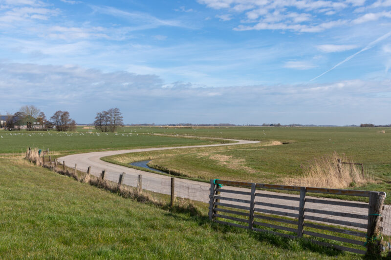 Frisian countryside