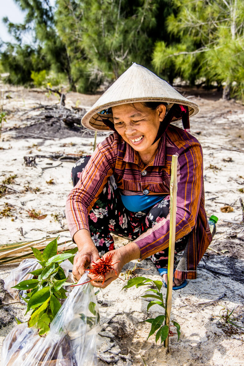 Planting trees in Vietnam