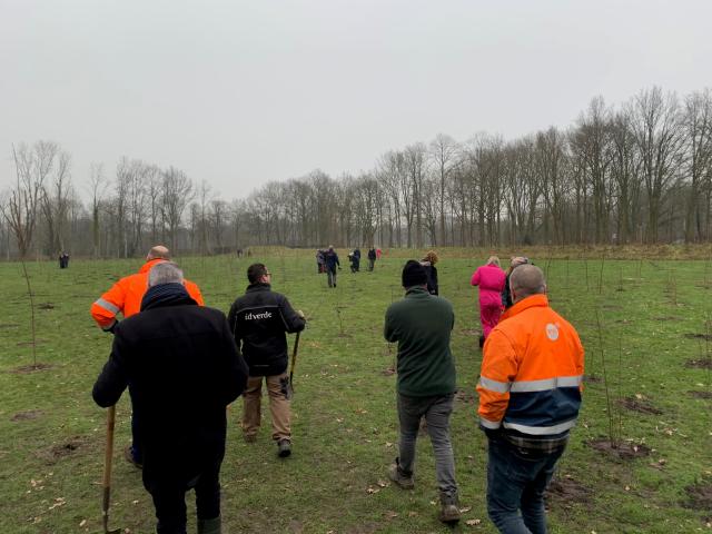 bomen-planten-bergen-op-zoom