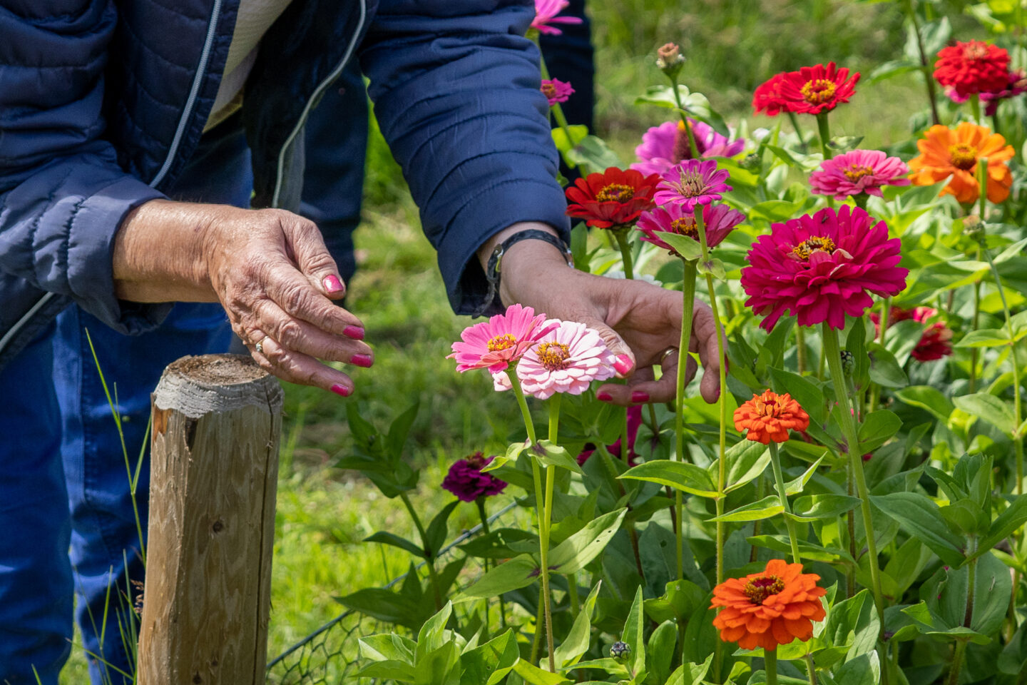 belevingsbos-haaksbergen-groendoen-fonds