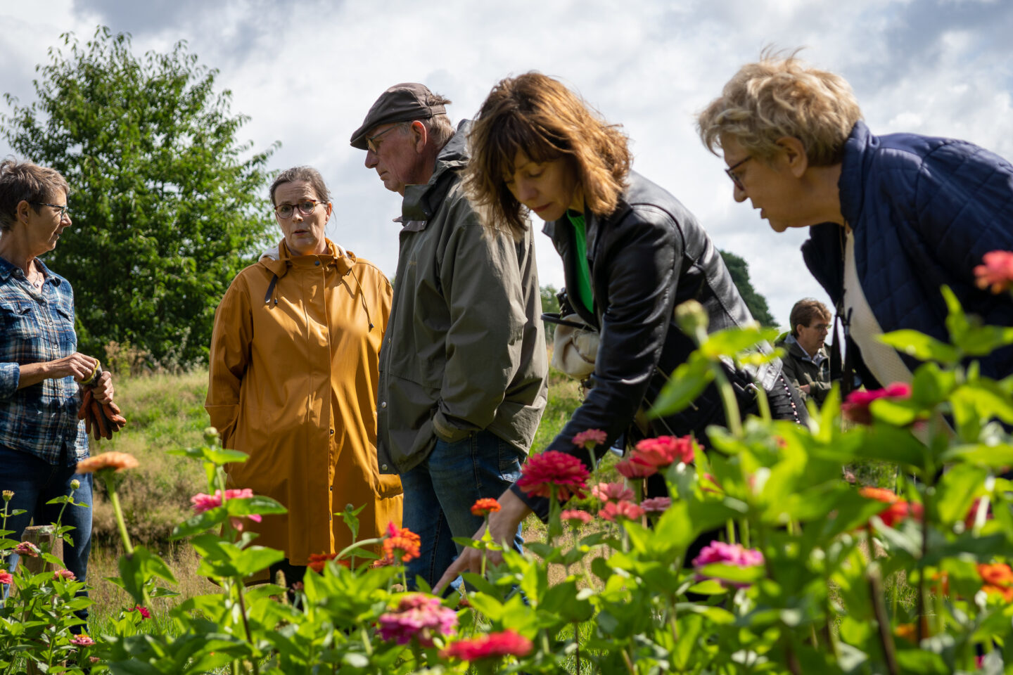 belevingsbos-haaksbergen-groendoen-fonds