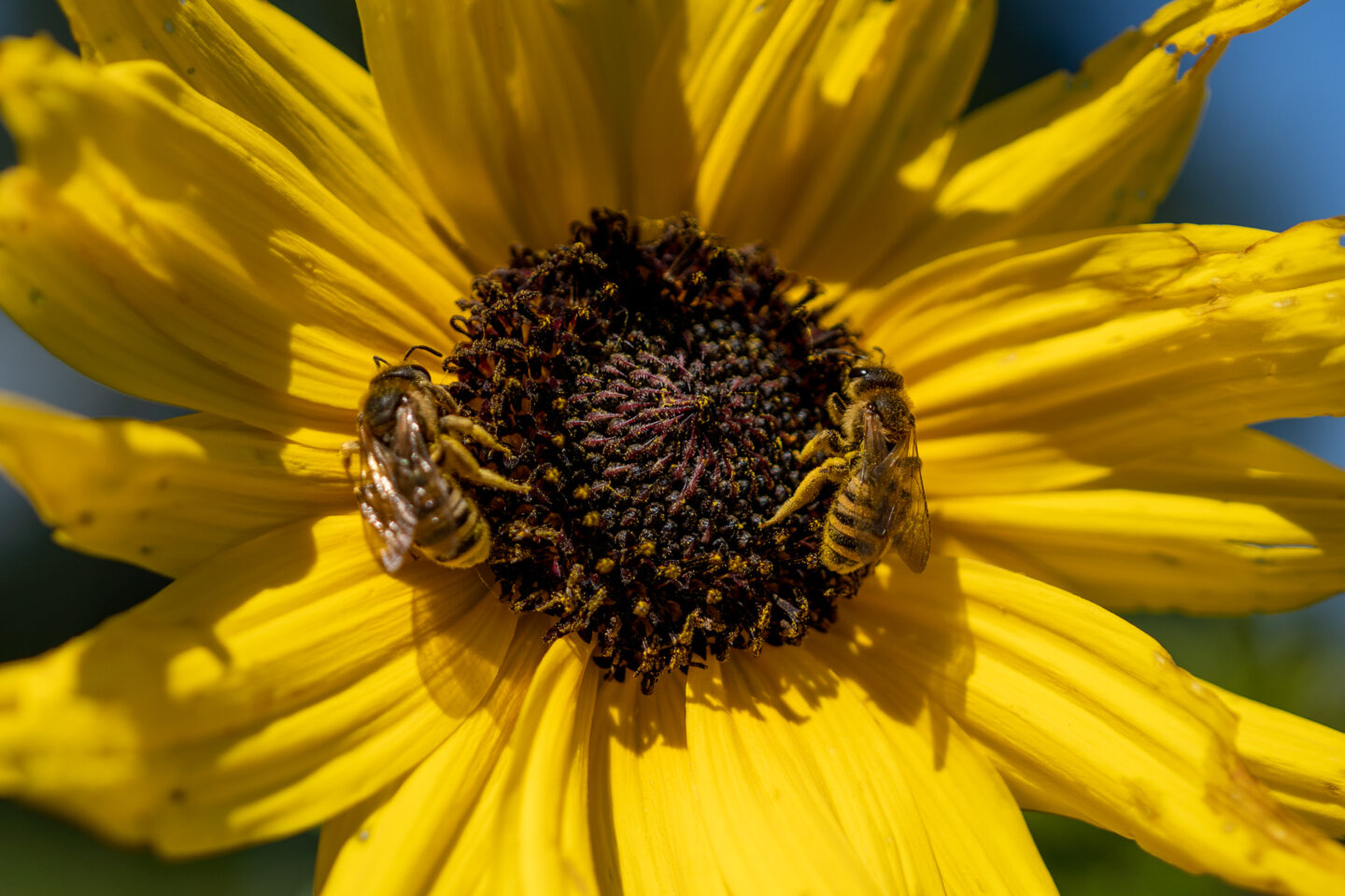 belevingsbos-haaksbergen-groendoen-fonds