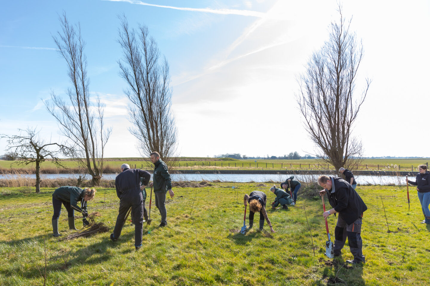 boomplantdag-friesland