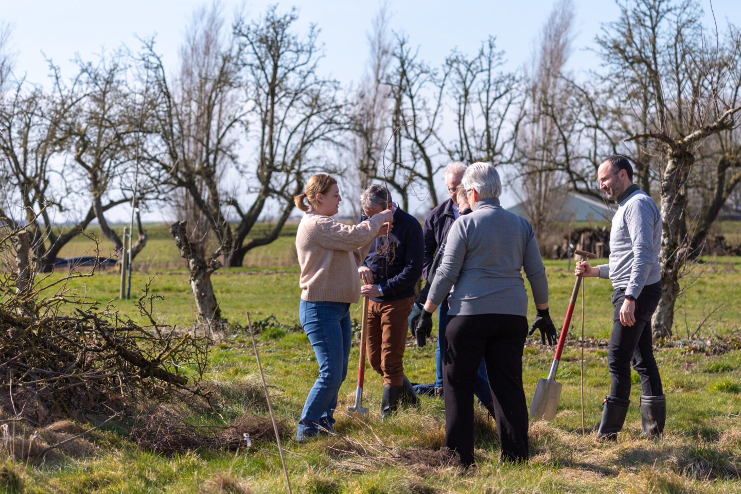 boomplantdag-friesland
