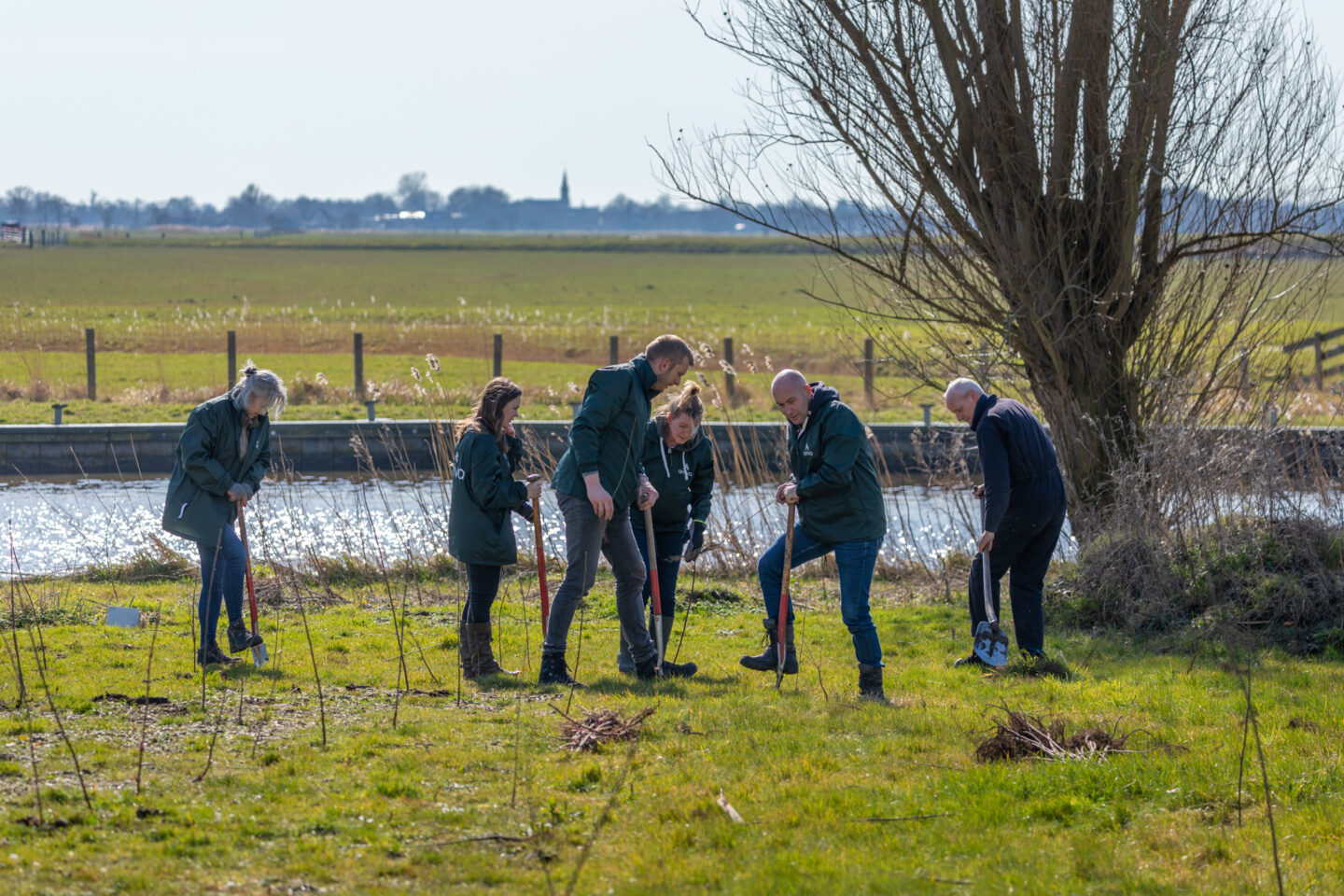 boomplantdag-friesland