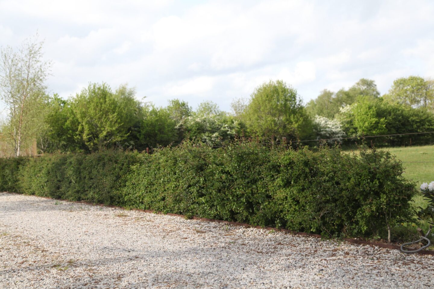 heg-landschapselement