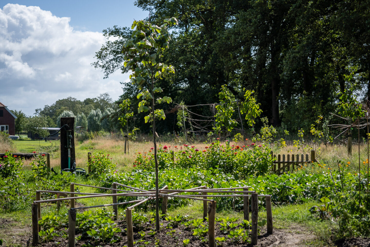 belevingsbos-haaksbergen-groendoen-fonds