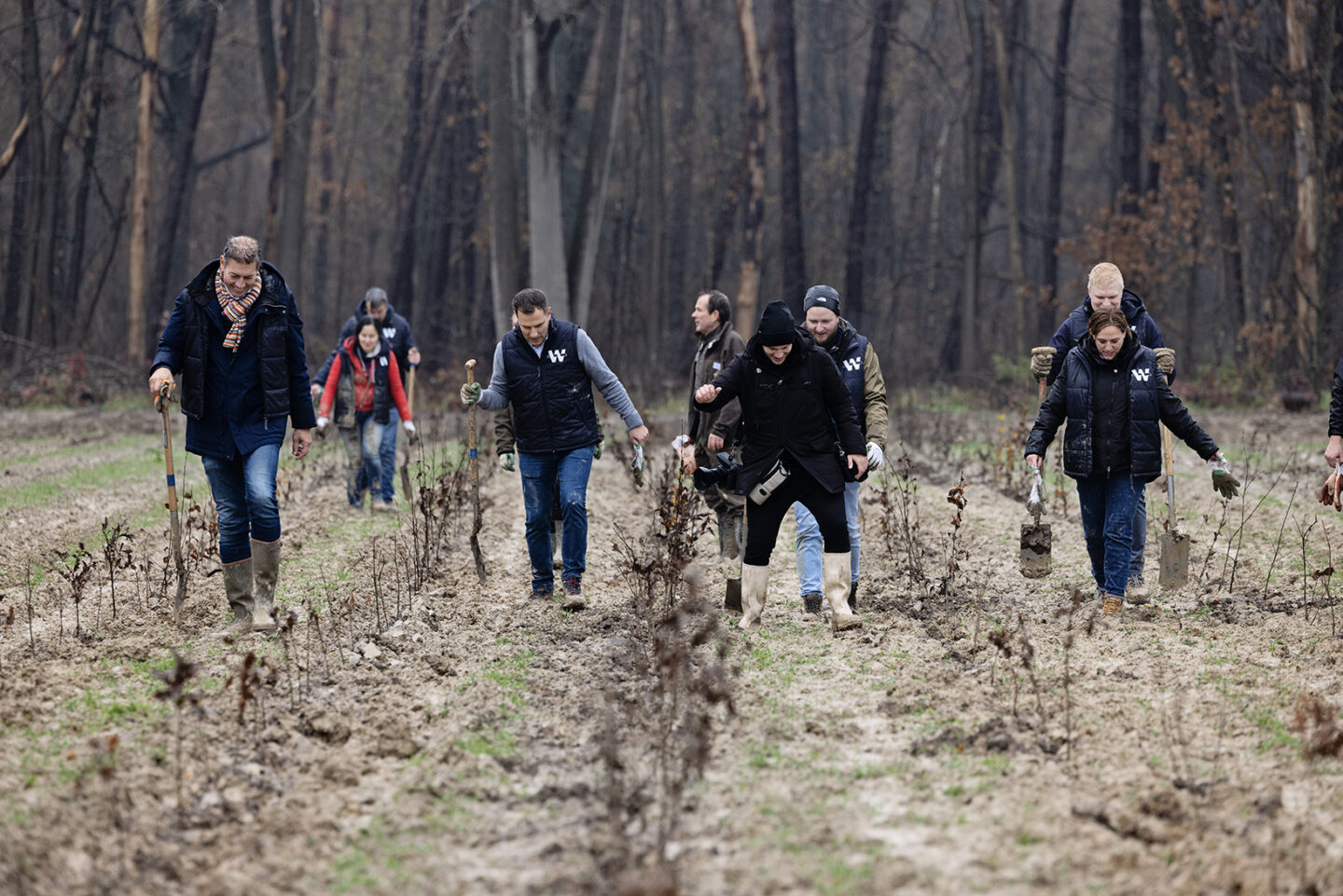 bomen-planten-trees-for-all-limburg