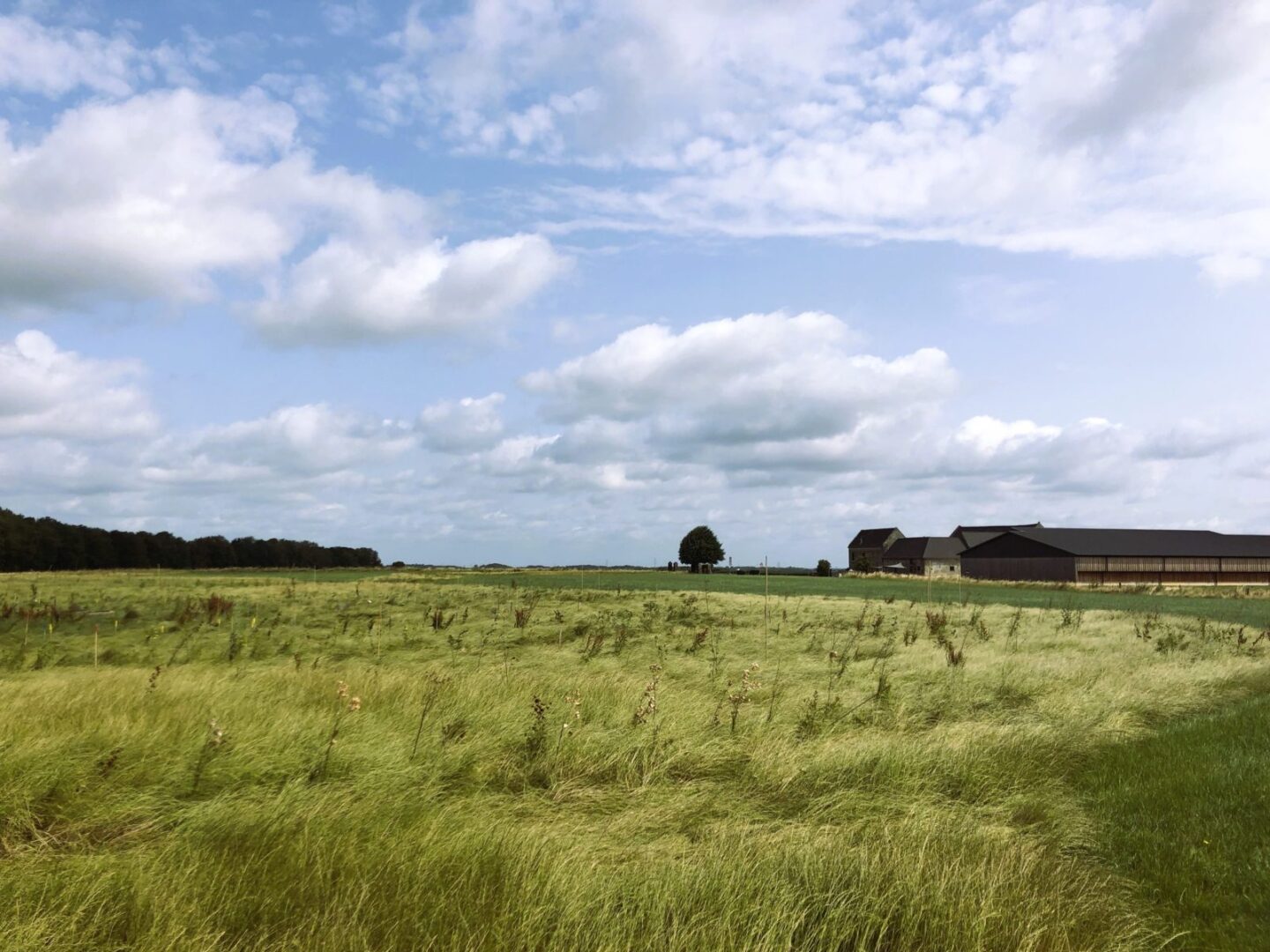 aanplant-voedselbos-natuurlijk-berghof