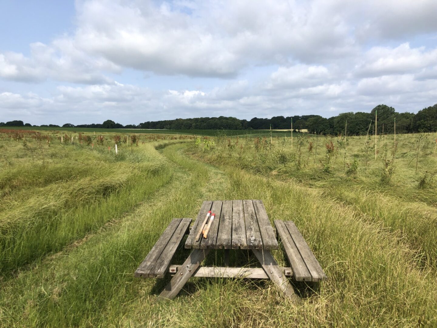 aanplant-voedselbos-natuurlijk-berghof