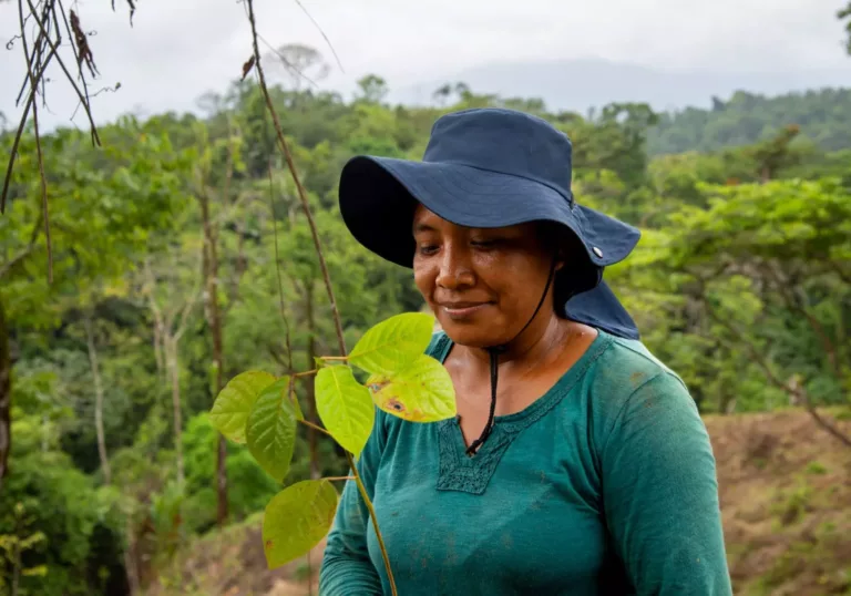 Projectupdate: hoe gaat het met de nieuwe woudreuzen in Costa Rica?