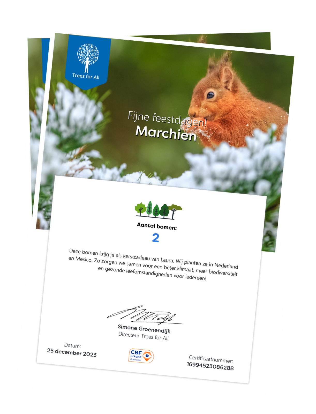 Een groen kerstcadeau | Geef een boom cadeau | Trees for All