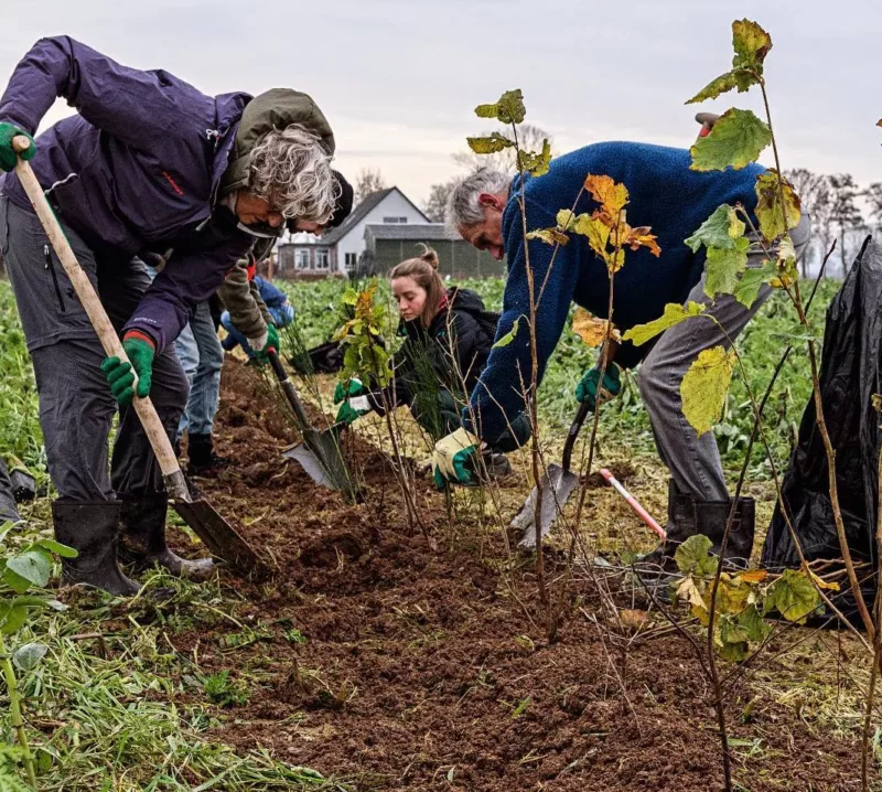 Voedselbossen op boerderij De Biesterhof | Lokaal voedsel van een natuurinclusieve boerderij