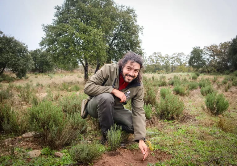 Zo geven 8.000 bomen in Portugal het landschap een impuls