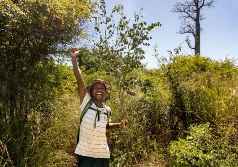 A glimmer of hope: we visited our reforestation project in Madagaskar