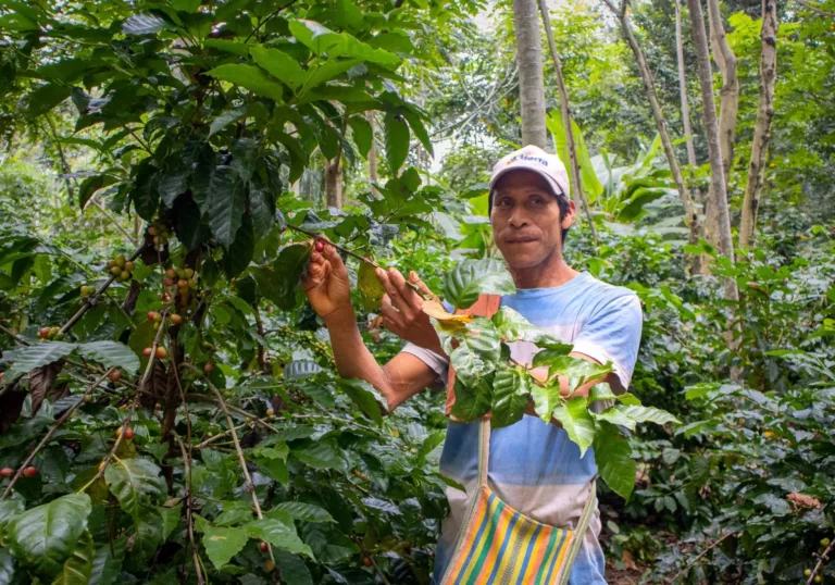 How we contribute to the preservation of the Amazon, together with Bolivian farmers