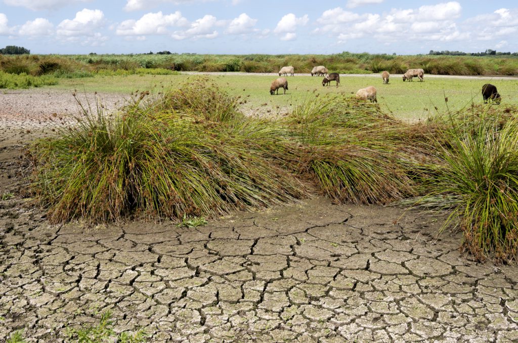 droogte-in-nederland