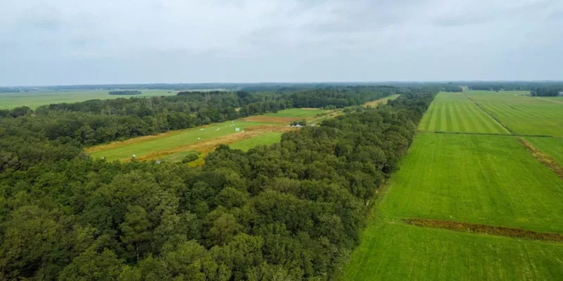 Ketliker Skar | Toekomstbestendig bos in Friesland