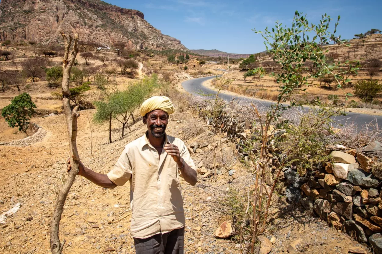 bomen-planten-ethiopië