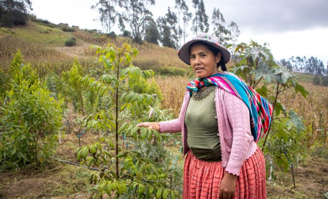 Op projectbezoek in Bolivia: dankzij bomen keert het water terug in de Andes 