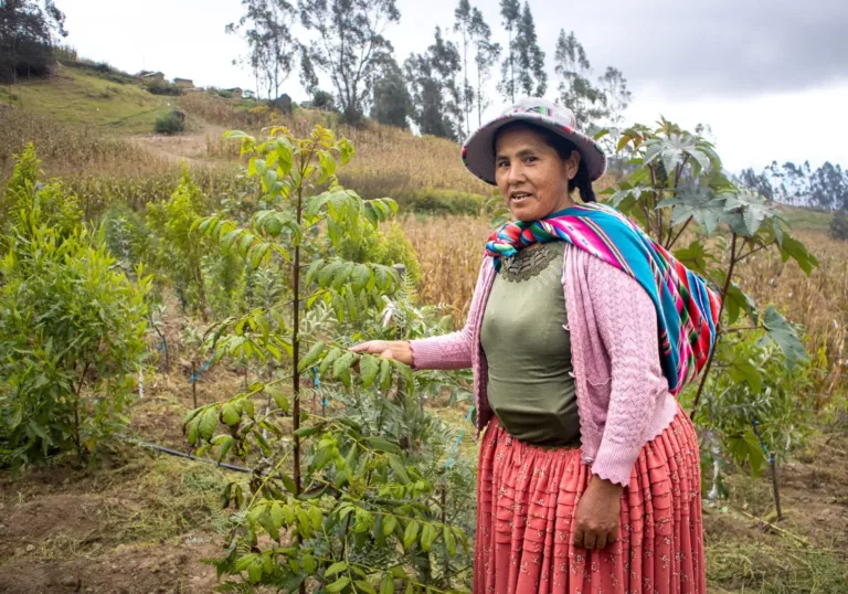 Op projectbezoek in Bolivia: dankzij bomen keert het water terug in de Andes 