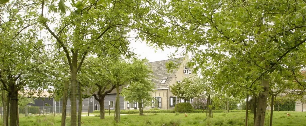 Landschapselementen Zeeland | Zeeuwse bosjes en hagen