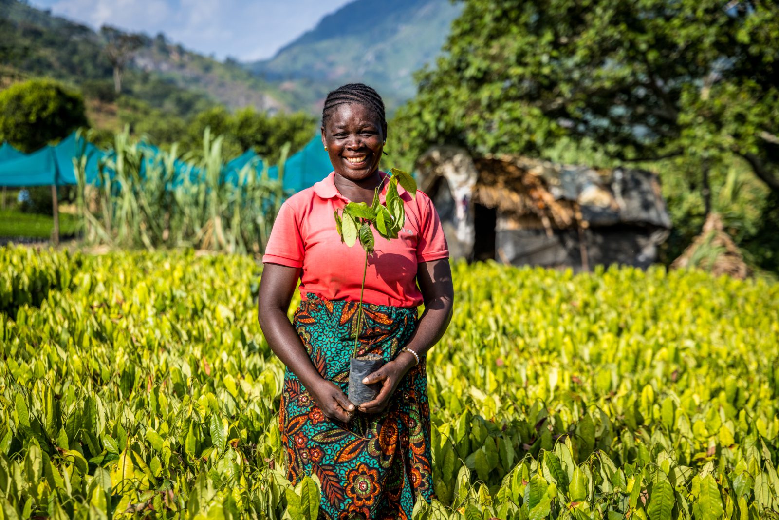 Nguru Forest Landscape Restoration Project (Mvomero, Tanzania)