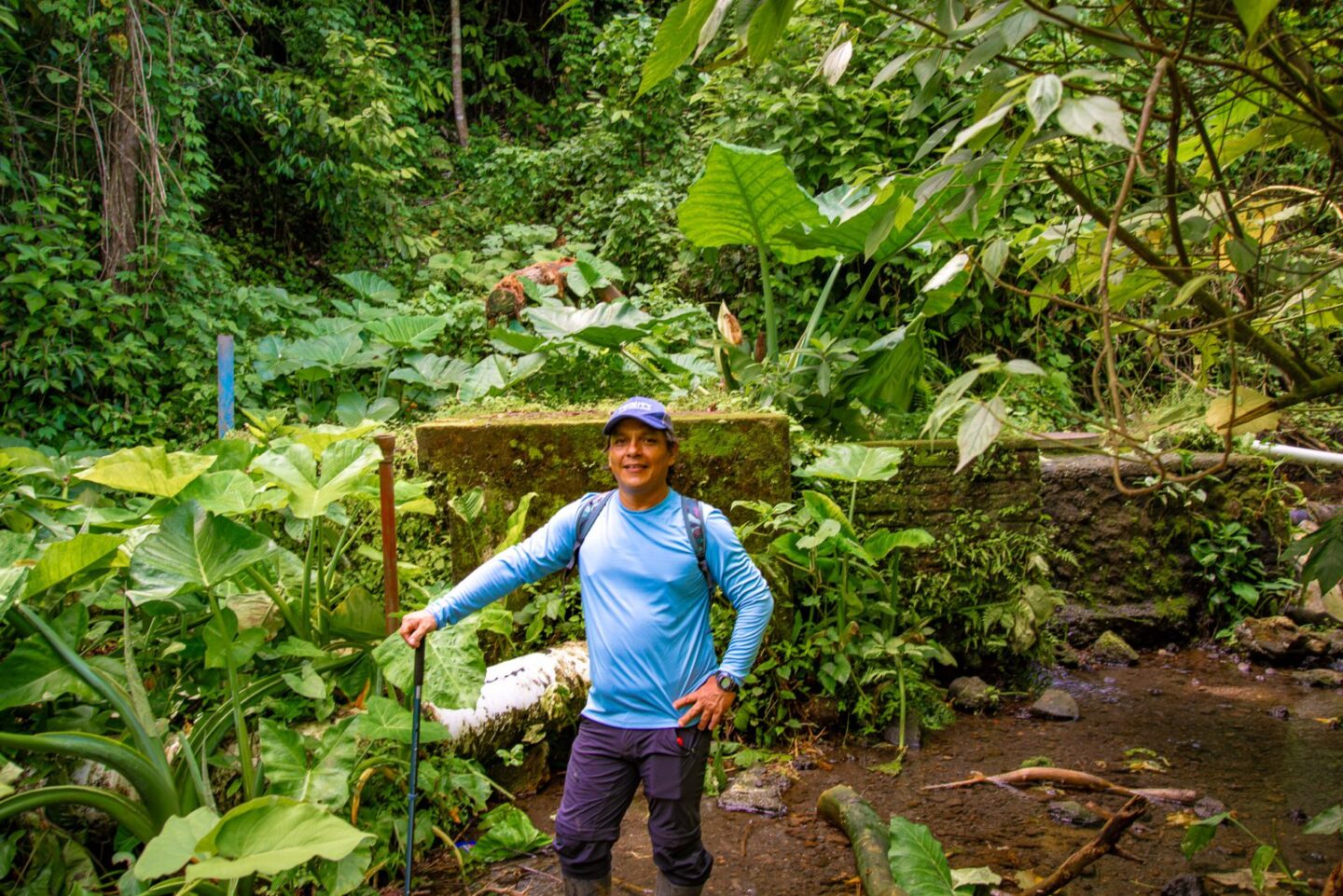 mexico-bomen-waterbronnen