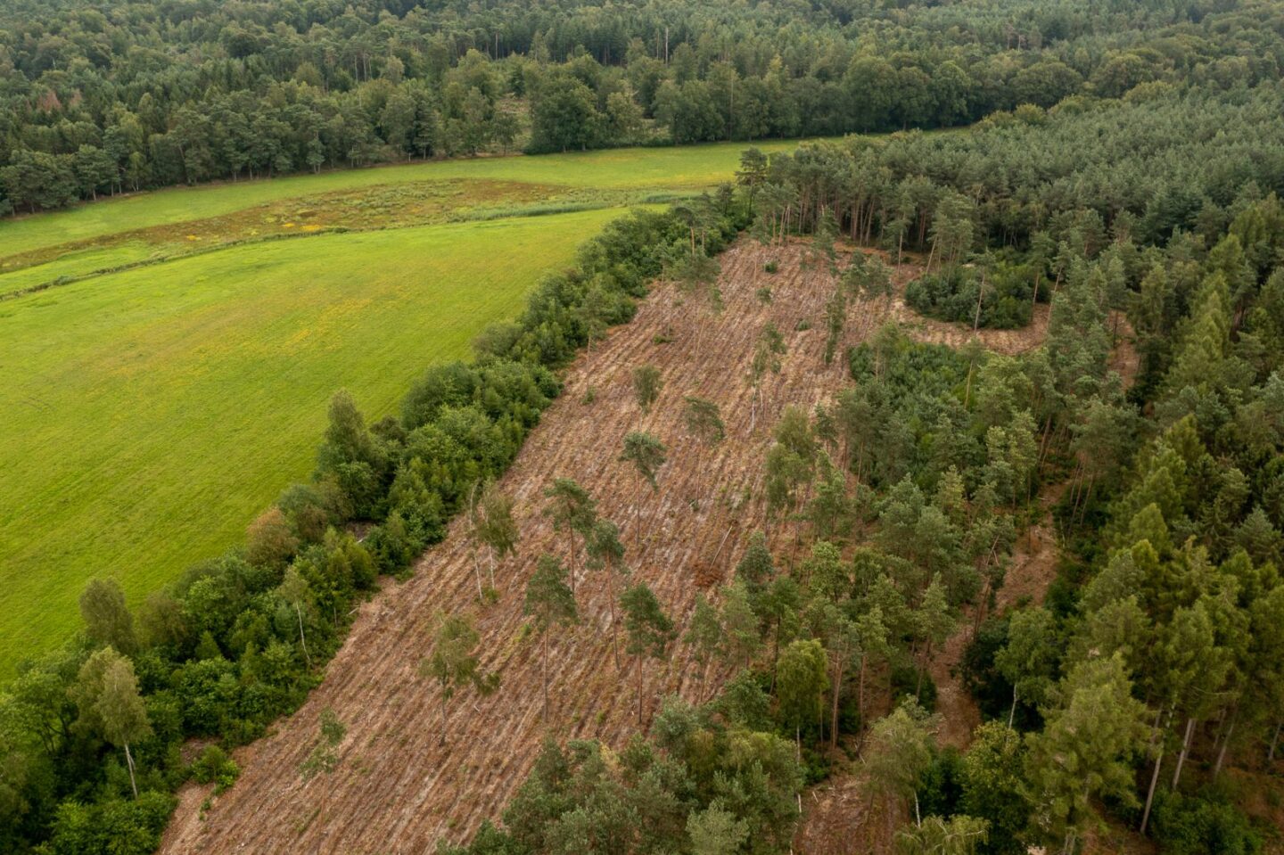 monocultuur-overijssel