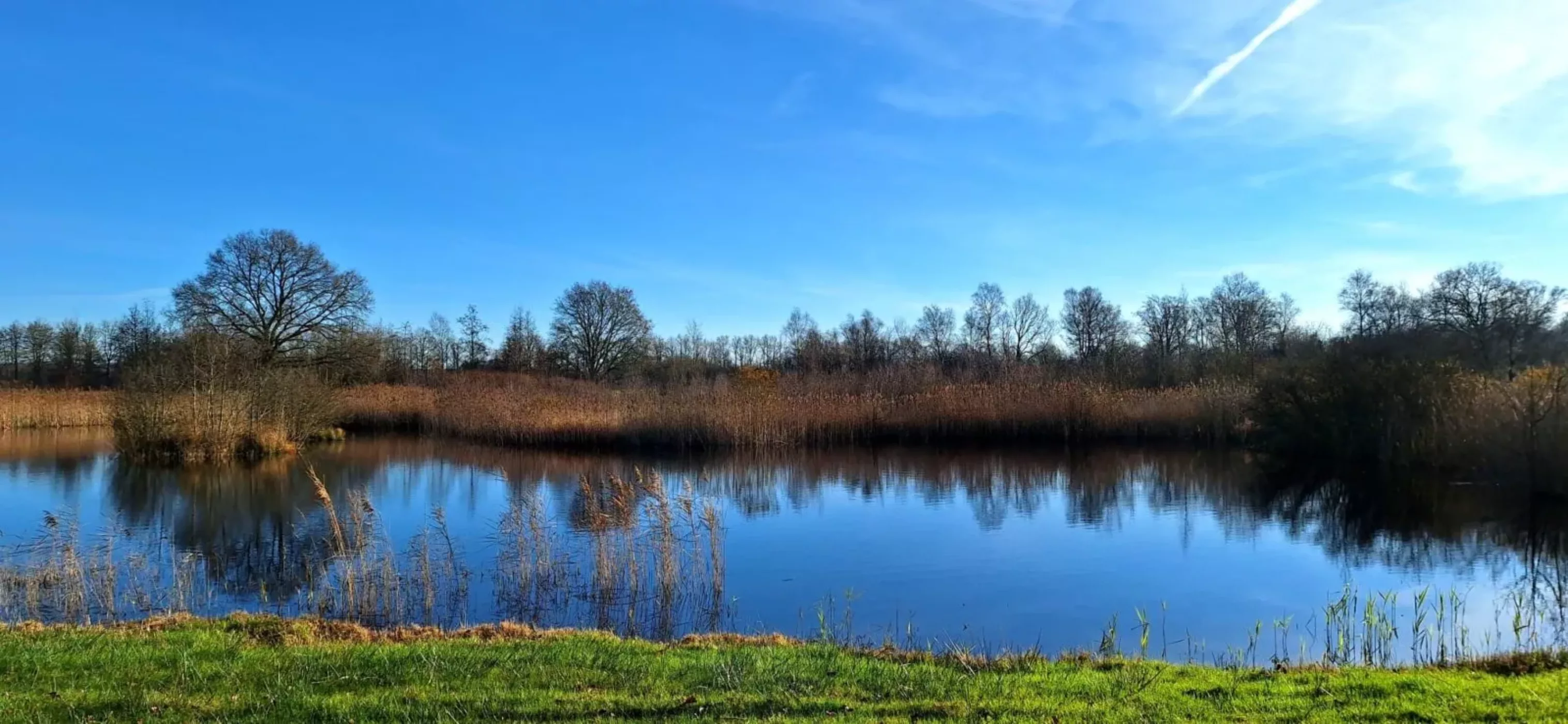meestersveen-foto-anouk-heling