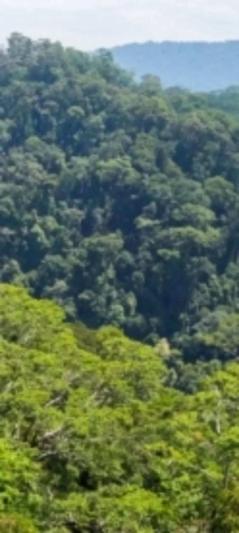 homepage-takeover-mobiel-2